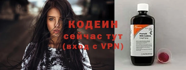 ПСИЛОЦИБИНОВЫЕ ГРИБЫ Гусь-Хрустальный