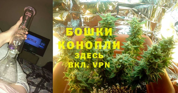 гидропоника Горнозаводск