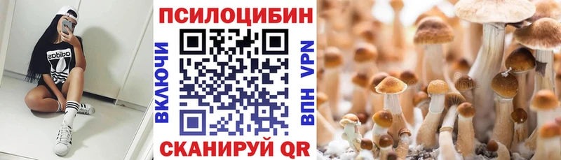 ОМГ ОМГ рабочий сайт  Западная Двина  Псилоцибиновые грибы GOLDEN TEACHER 