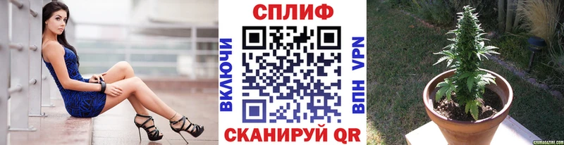 Канабис марихуана  Западная Двина 